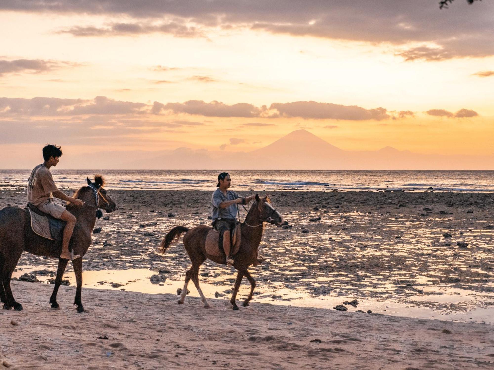 Mad Monkey Gili Trawangan Hostel Exterior photo Horse riding at the beach